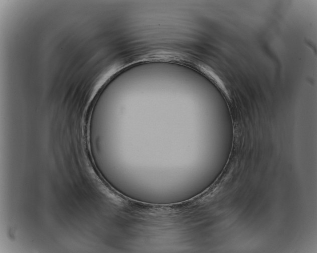 X0000091921091200709051226