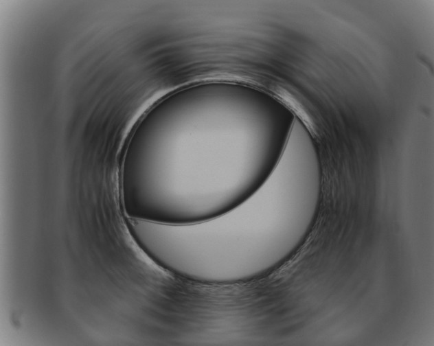 X0000091921092200709051226