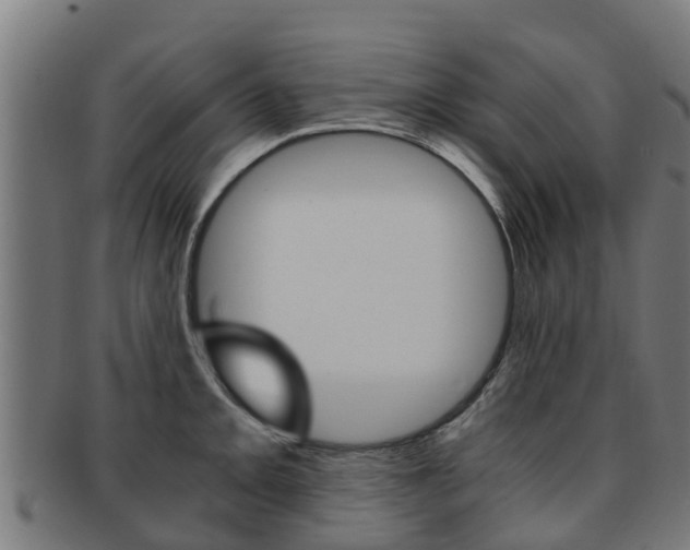 X0000091921093200709051226