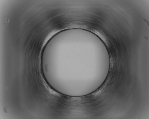 X0000091921094200709051226