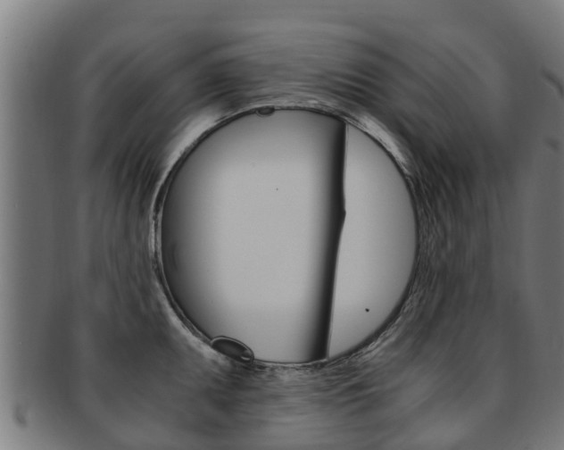 X0000091921095200709051226