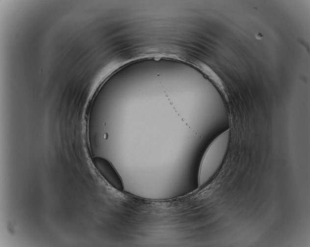X0000091921096200709051226