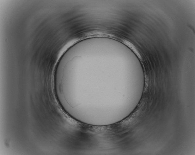 X0000091921098200709051226