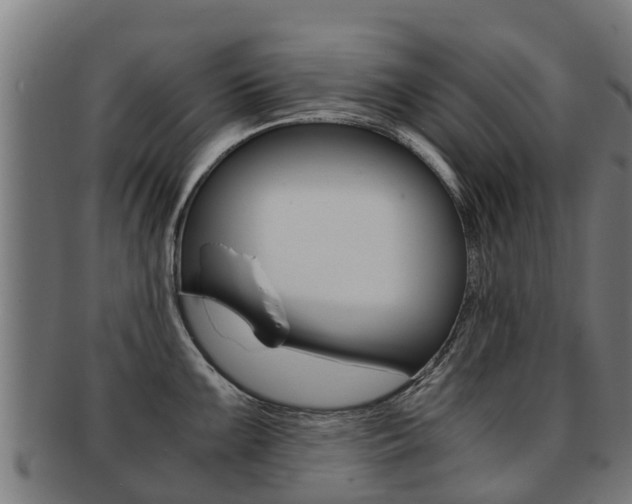 X0000091921099200709051226
