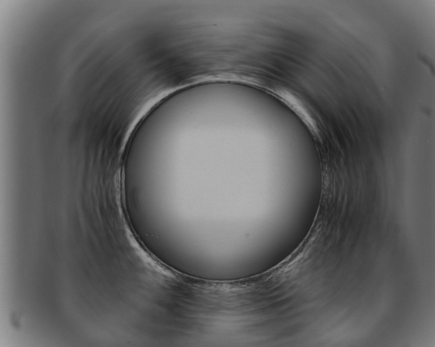 X0000091921100200709051226