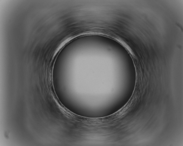 X0000091921101200709051226