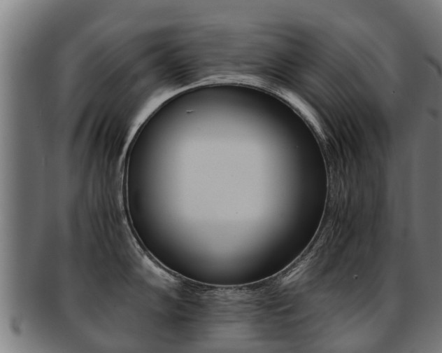 X0000091921102200709051226