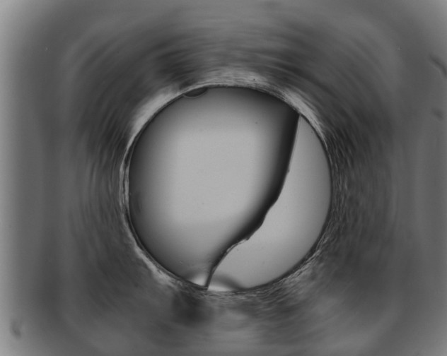 X0000091921103200709051226