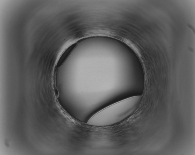 X0000091921104200709051226