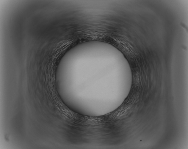 X0000091921105200709051225