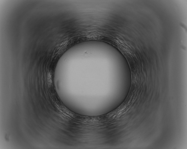 X0000091921106200709051225