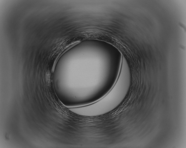 X0000091921108200709051225