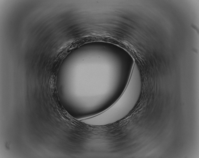 X0000091921110200709051225