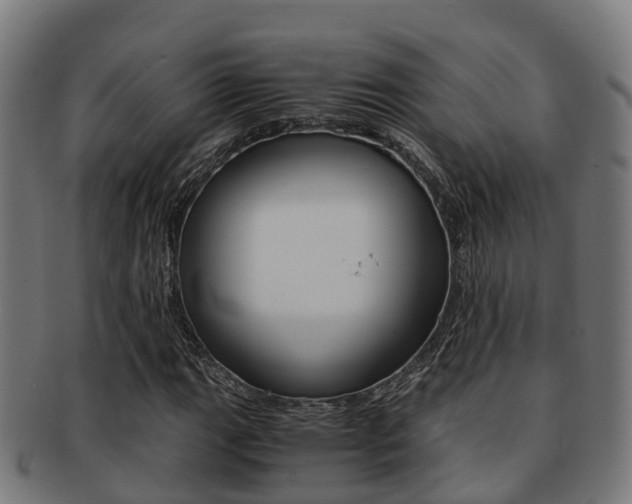 X0000091921111200709051225