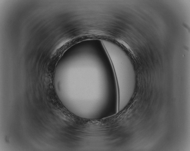X0000091921112200709051225