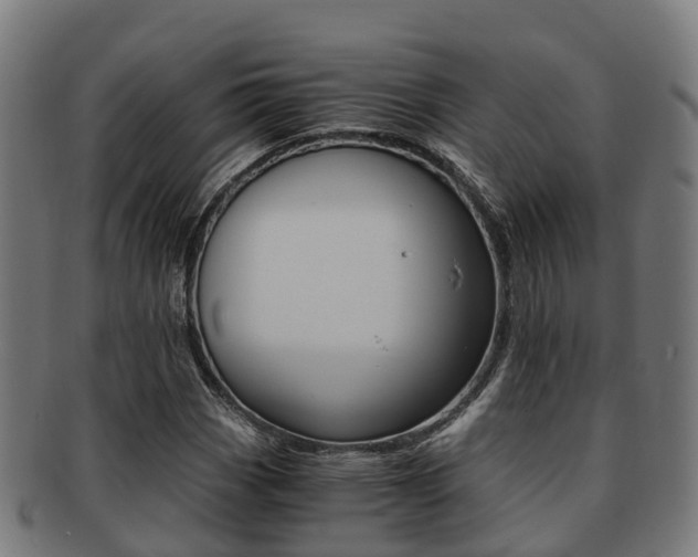 X0000091921113200709051225