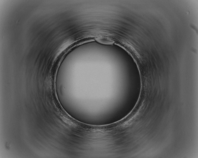 X0000091921114200709051225