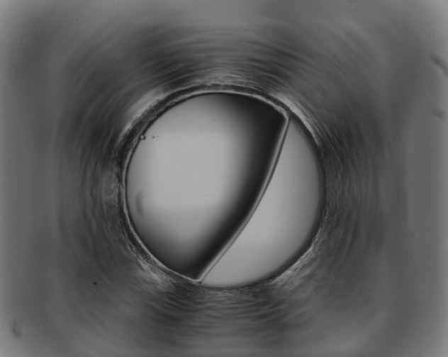 X0000091921115200709051225