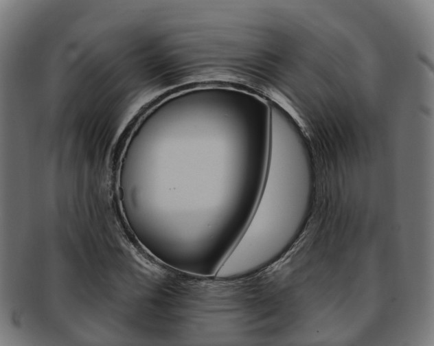 X0000091921116200709051225