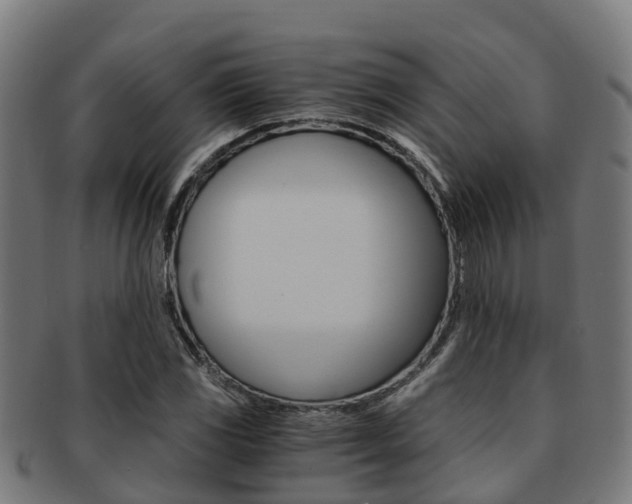 X0000091921117200709051225