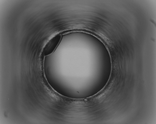 X0000091921118200709051225