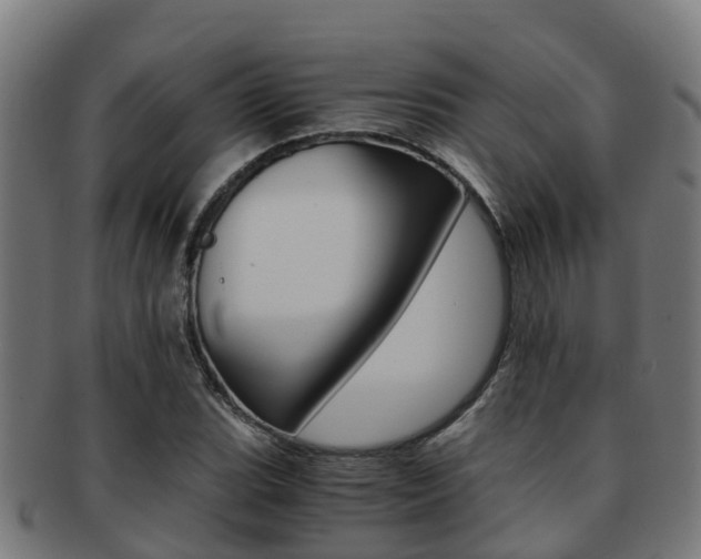 X0000091921119200709051225