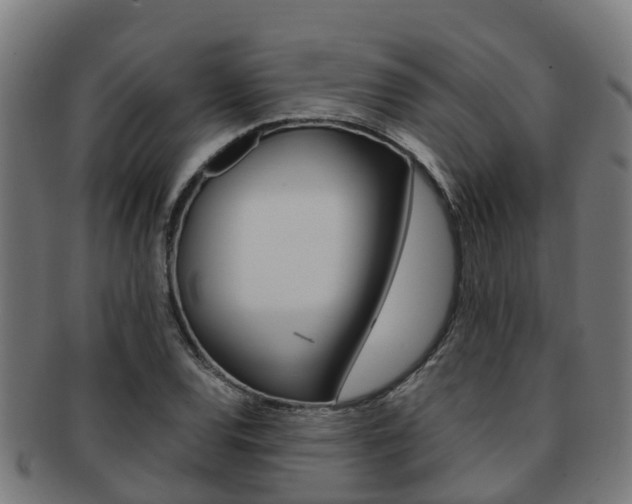 X0000091921120200709051225