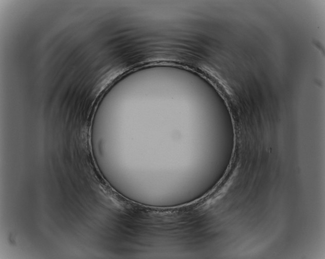 X0000091921121200709051225