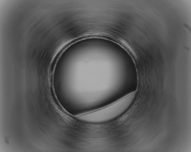 X0000091921124200709051225