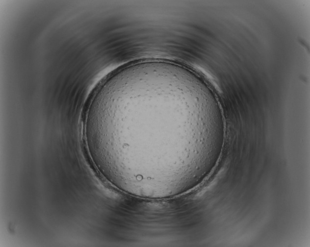 X0000091921125200709051225