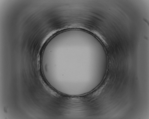 X0000091921126200709051226
