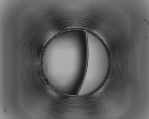 X0000091921129200709051226