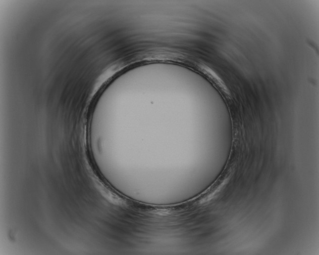 X0000091921130200709051226