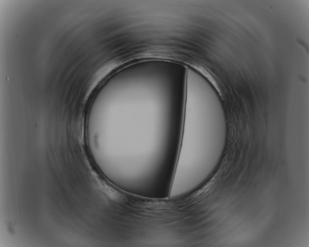 X0000091921131200709051226