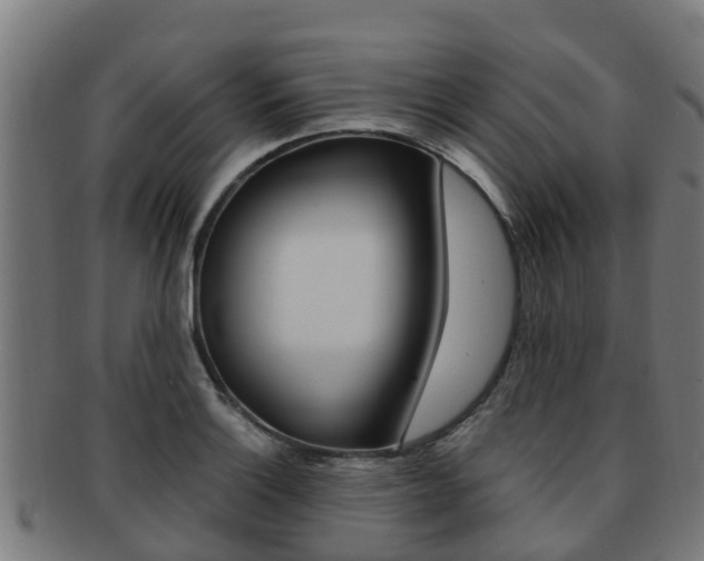 X0000091921132200709051226