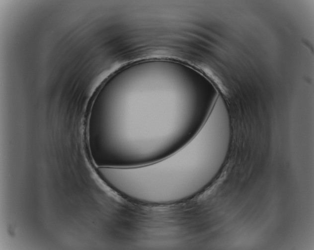 X0000091921134200709051226