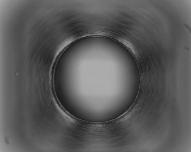 X0000091921135200709051226
