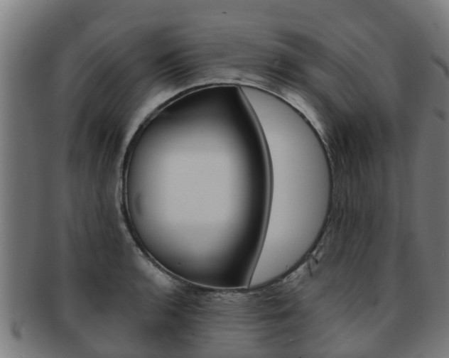 X0000091921136200709051226