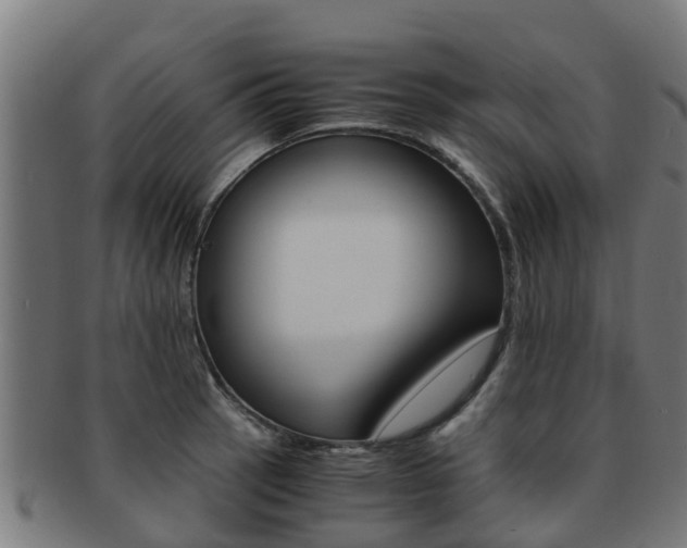 X0000091921137200709051226