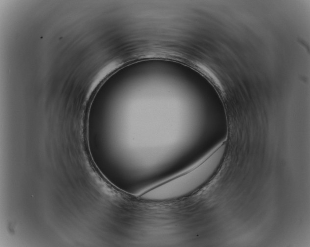 X0000091921138200709051226