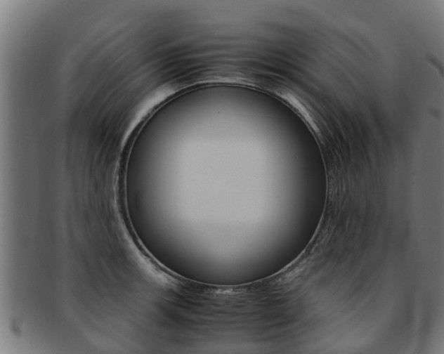 X0000091921139200709051226