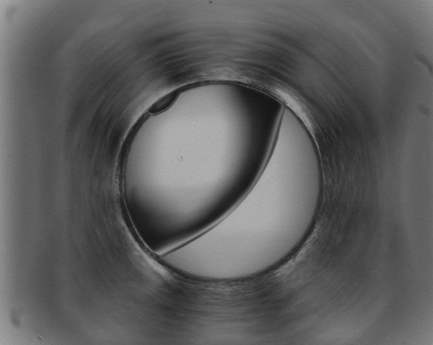 X0000091921141200709051226