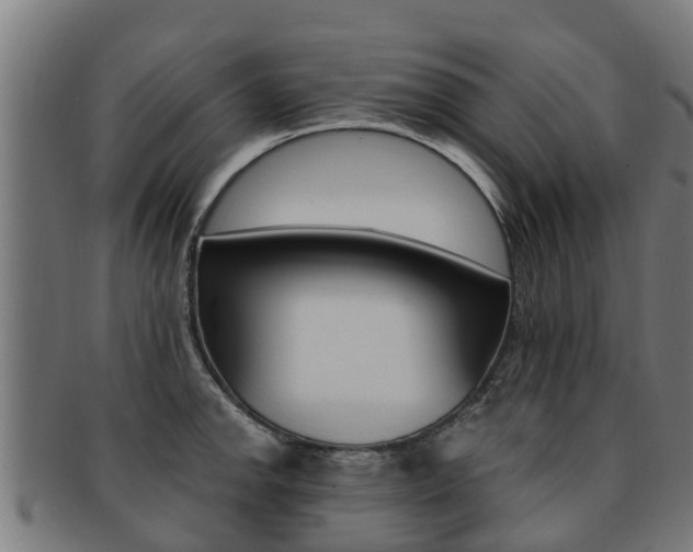 X0000091921142200709051226