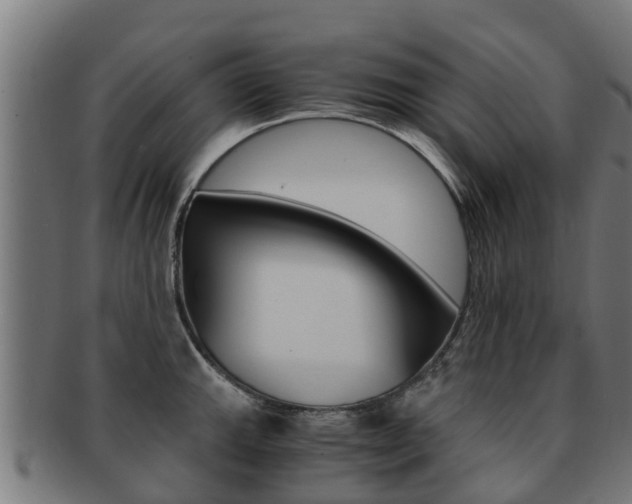 X0000091921143200709051226