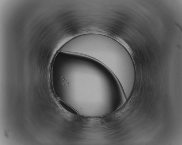 X0000091921144200709051226