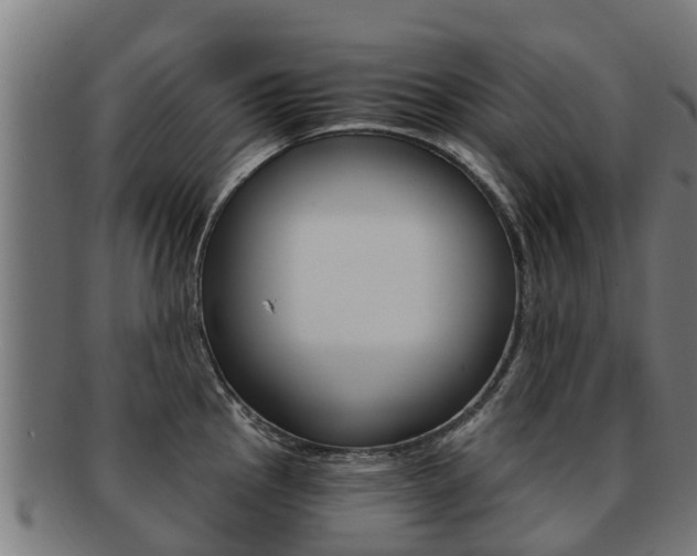 X0000091921145200709051226
