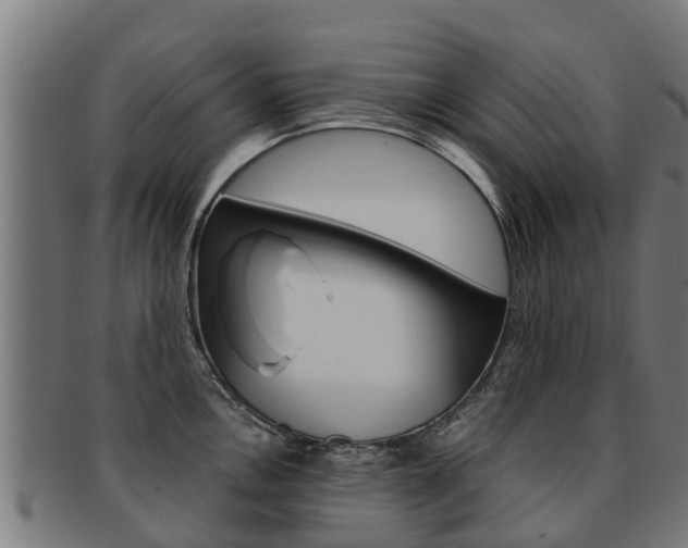 X0000091921146200709051226