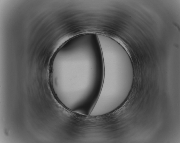 X0000091921147200709051226