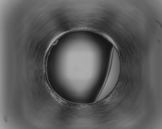 X0000091921148200709051226