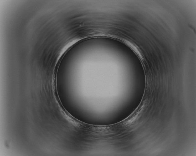 X0000091921149200709051226